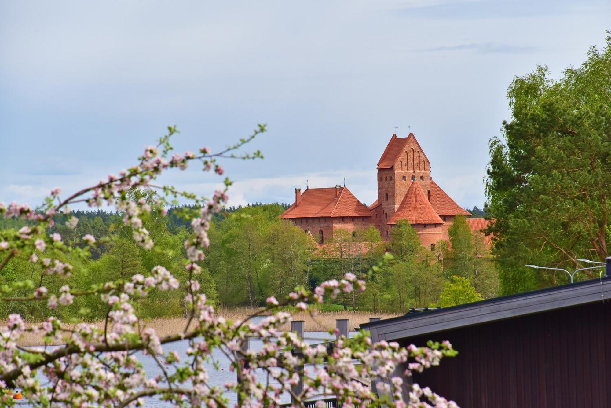 Augutes Zurlienes Apartamentai Trakai Exterior photo